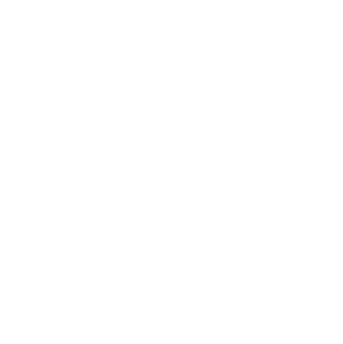 White padel racket icon